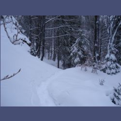 2013-02-02_Rappinschlucht_Lainlalm (109).jpg
